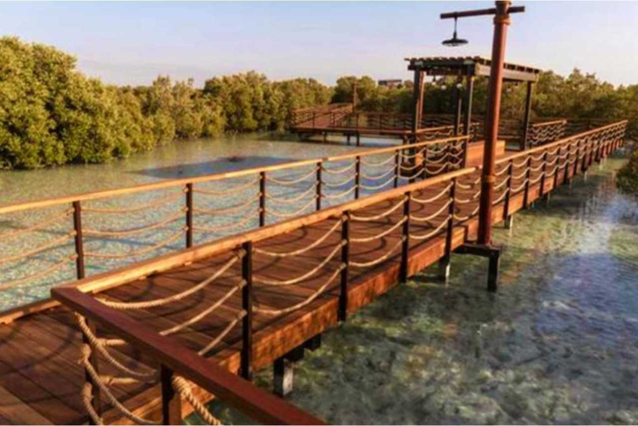 Мангровый лес Абу Даби