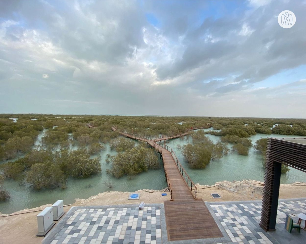 Национальный мангровый парк Абу-Даби