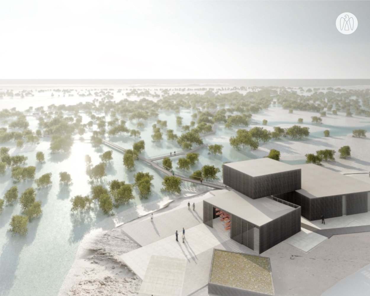 Мангровый лес Абу Даби