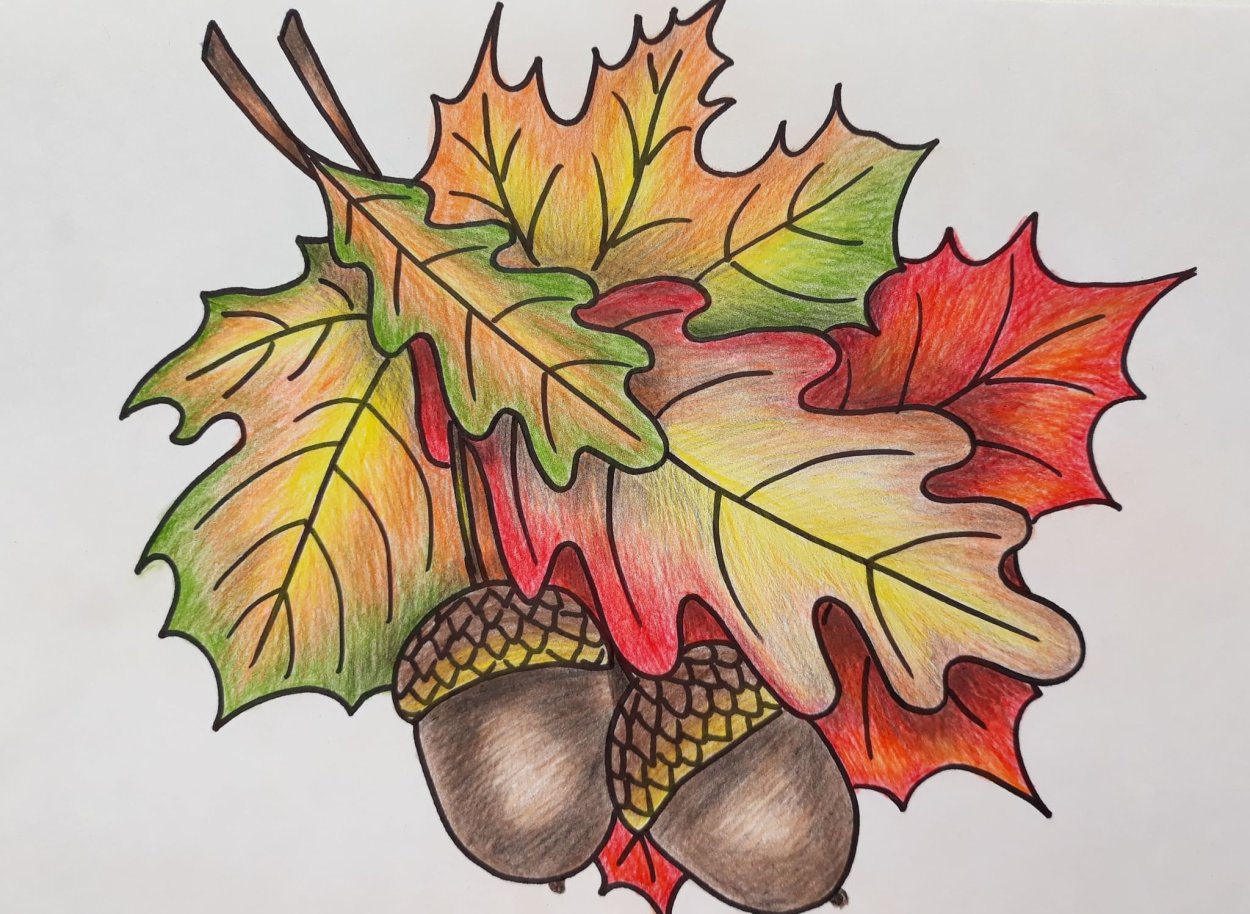 Кленовый и дубовый лист