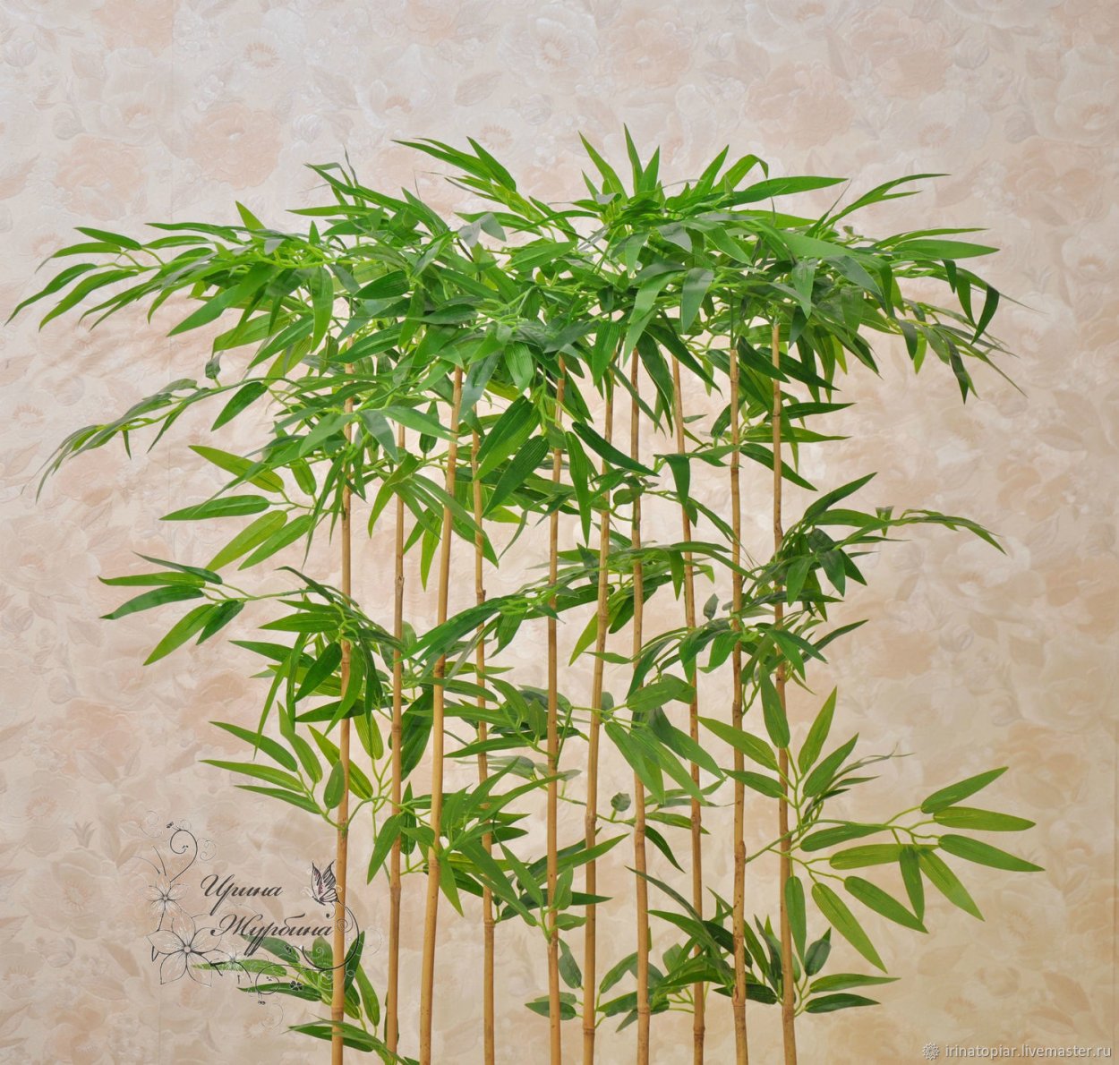 Мексиканский Плакучий бамбук