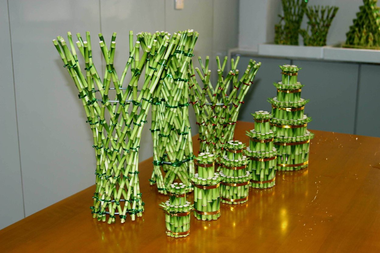 Бамбук в вазе