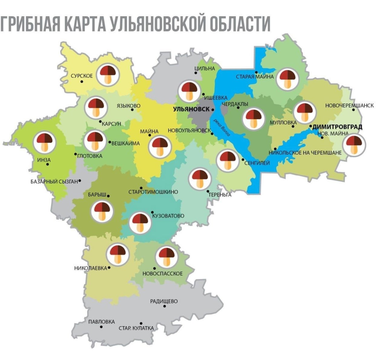 Грибные места в подмосковье 2024 на карте