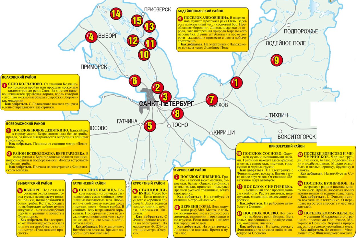 Грибные места в Ленинградской области на карте