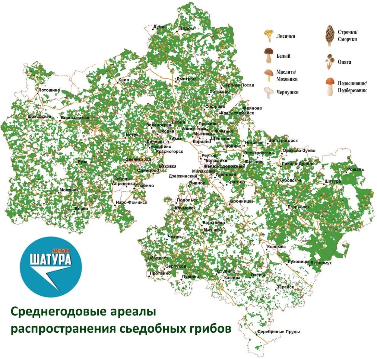Карта грибов Подмосковья 2022