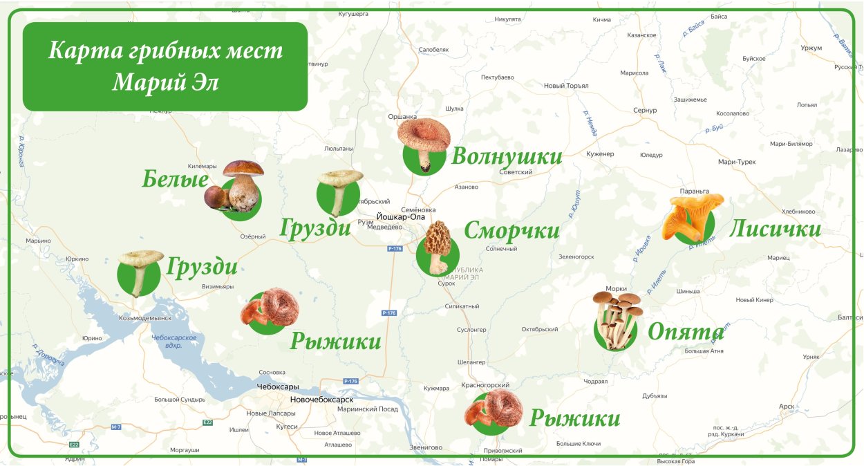 Грибные места Чувашии и Марий Эл на карте