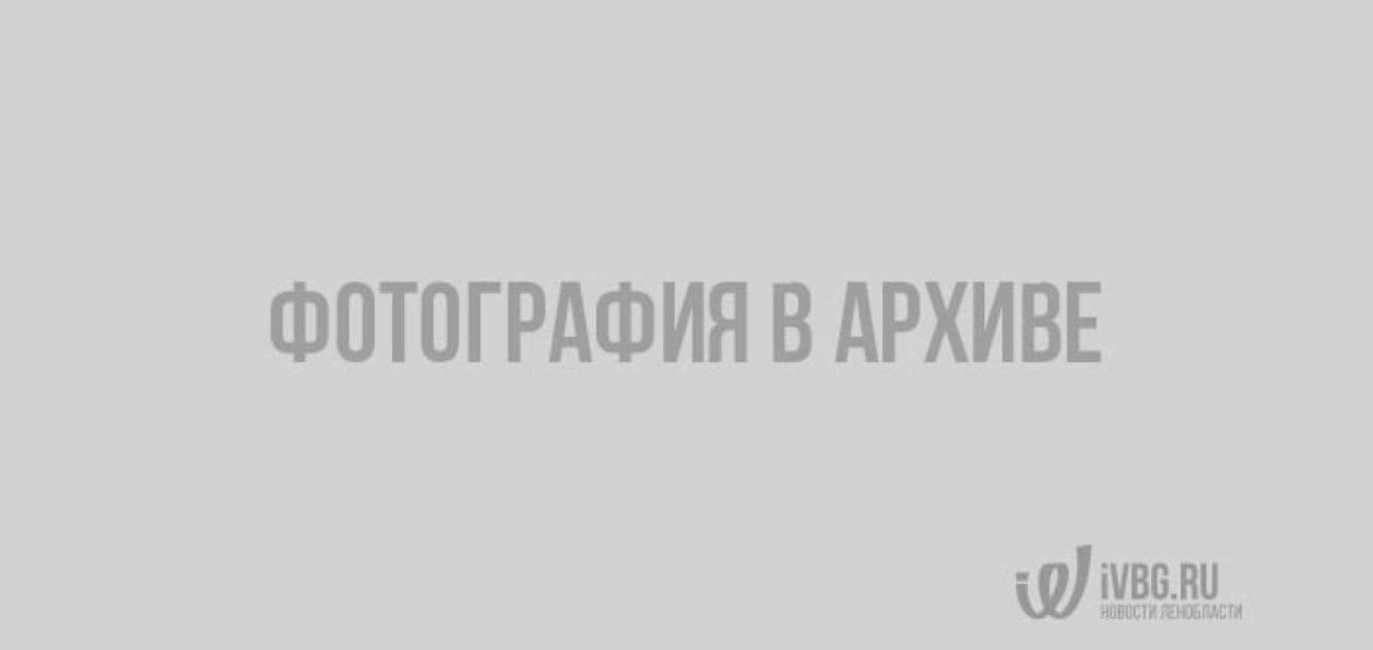 Грибные места СПБ Мухино