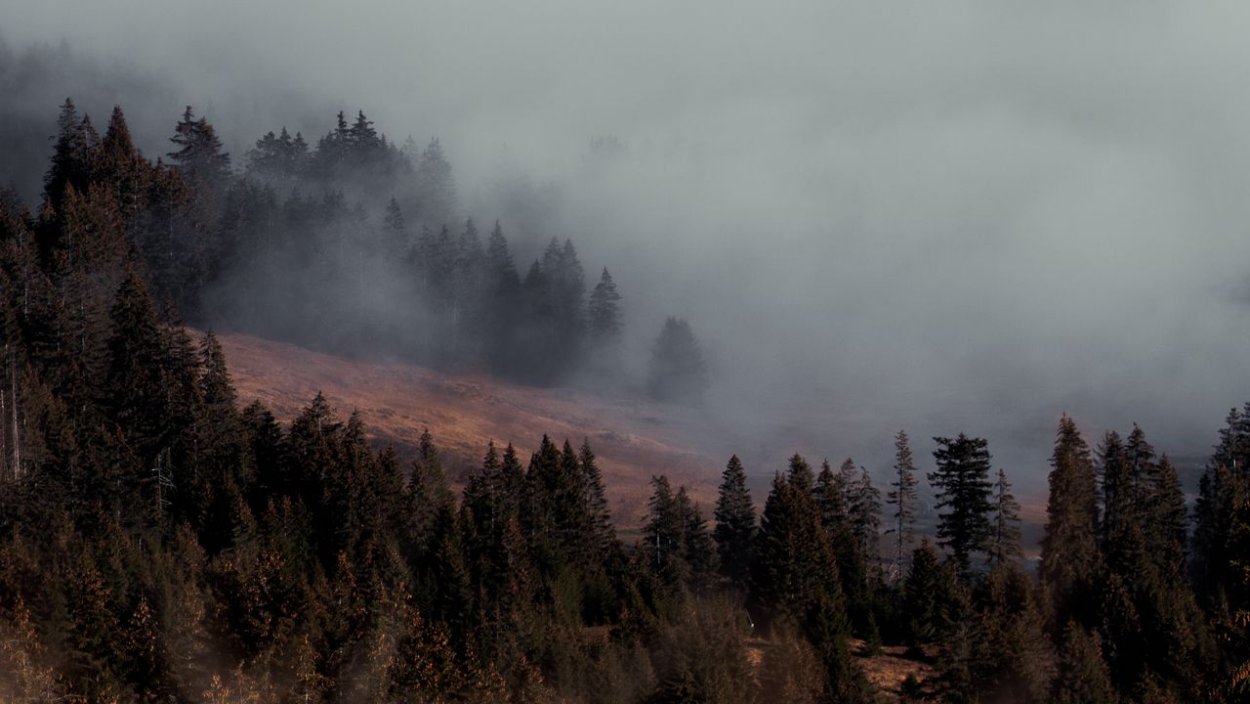 Склон в тумане