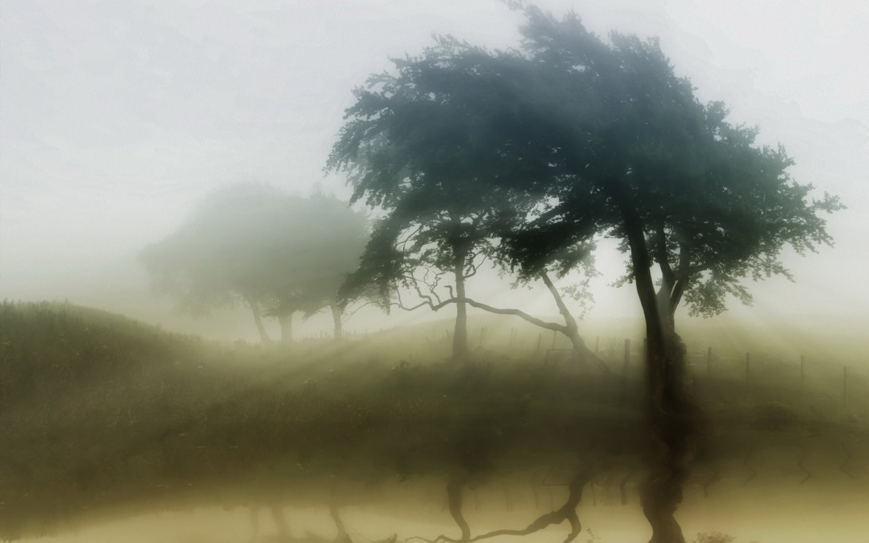 Кожевенное туманное дерево