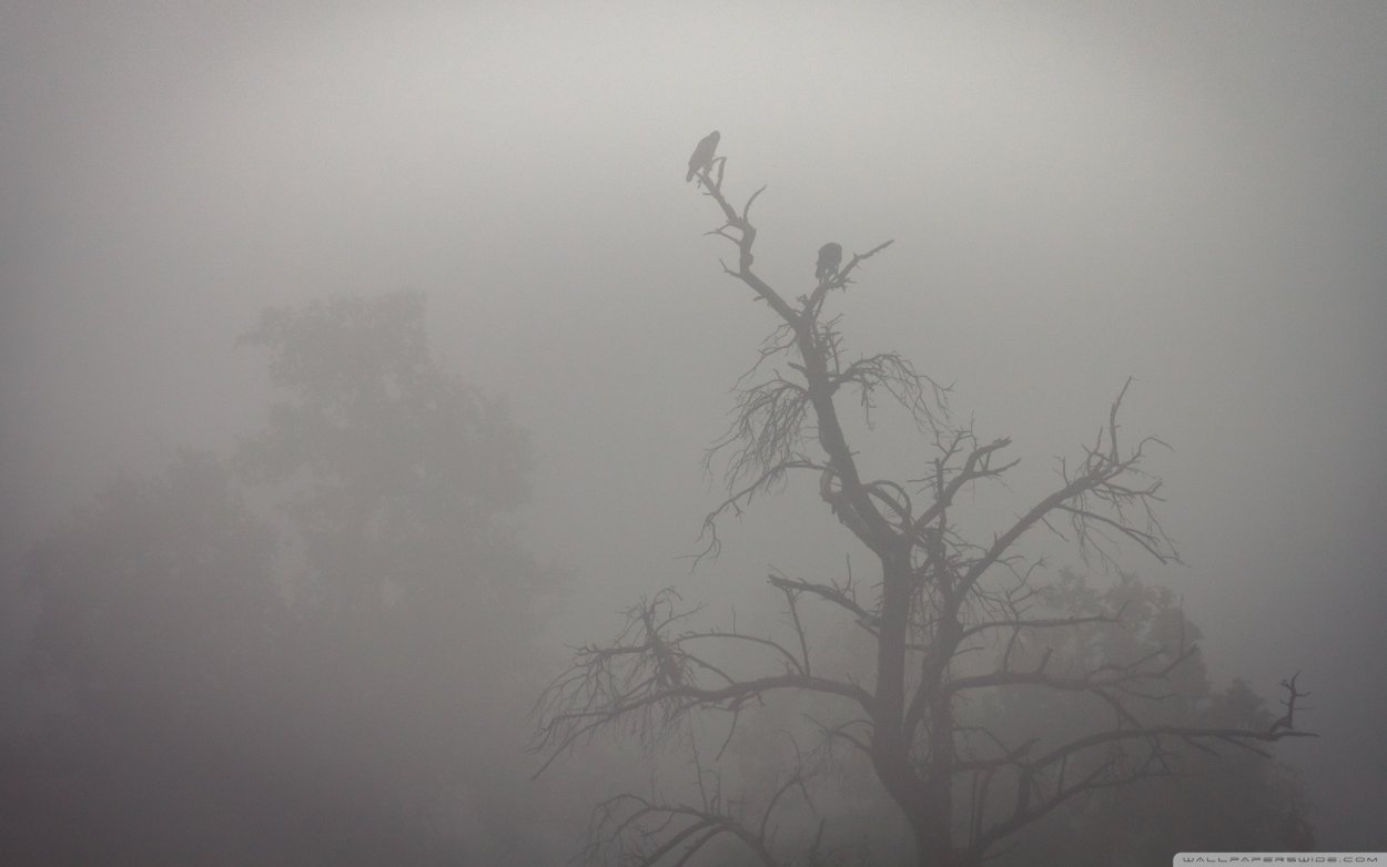 Силуэты среди деревьев в тумане монстров
