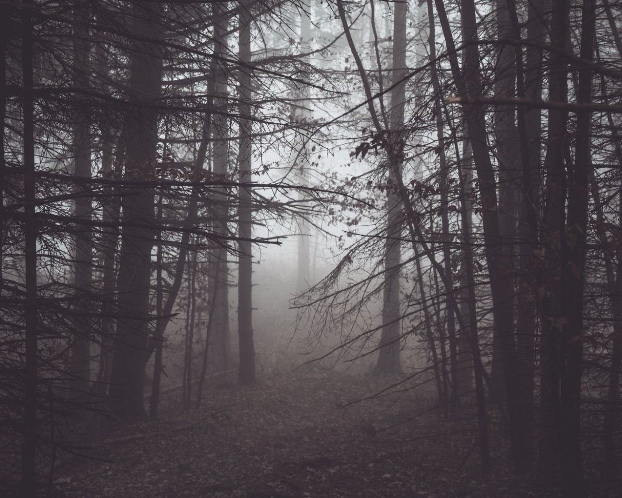 Мрак Эстетика