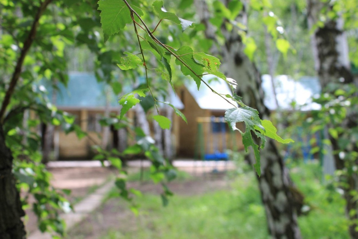 Берёзка Кандры магазин