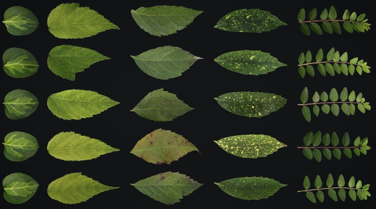 Фактура листвы