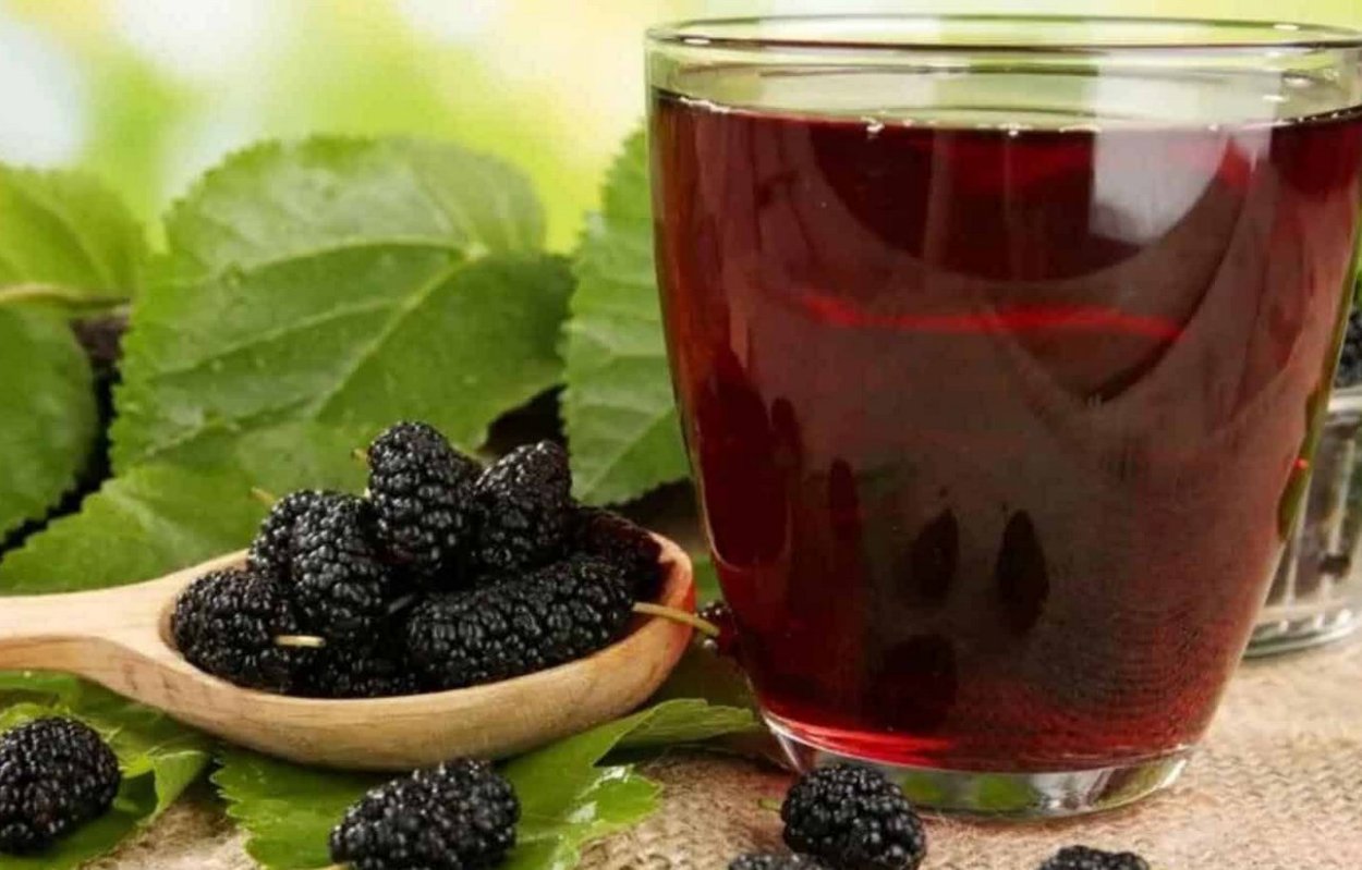 Тутовник компот