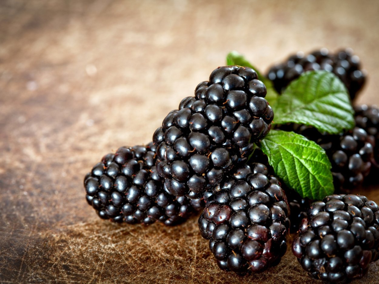 Ежевика Блэк Каскад