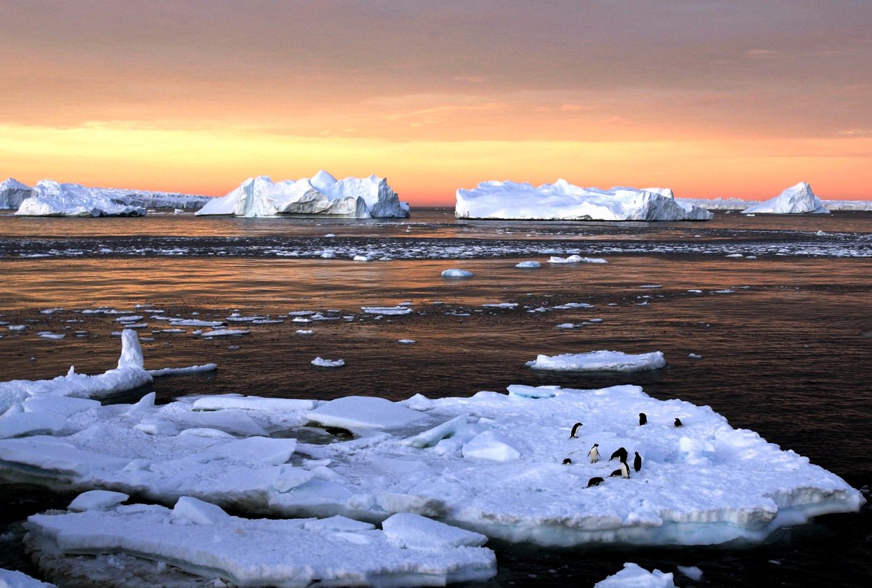 Тундра и Северный Ледовитый океан