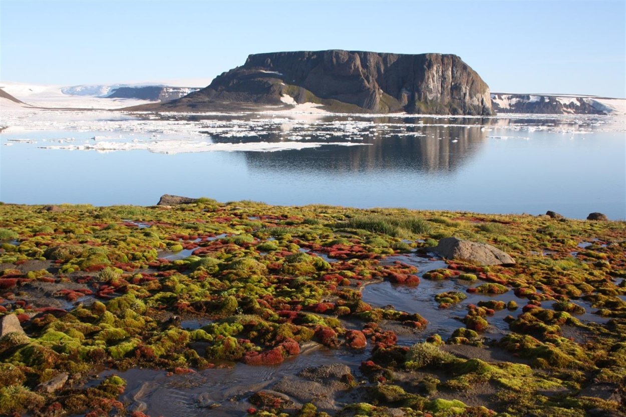 Земля Франца-Иосифа, Архангельская область