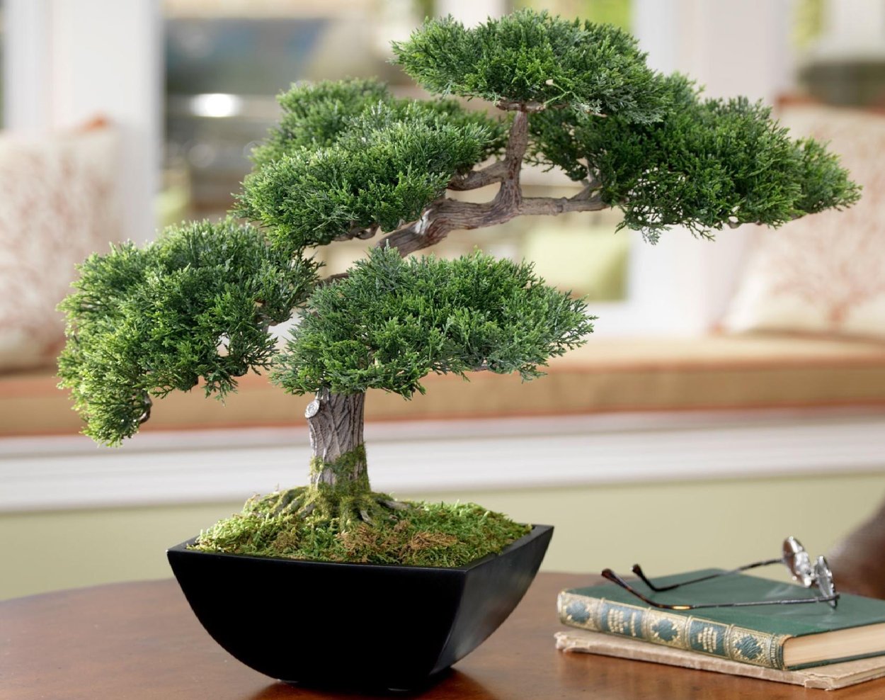 Японский бонсай