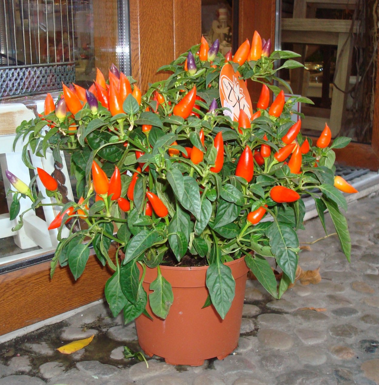 Перец огонек ~ 150г