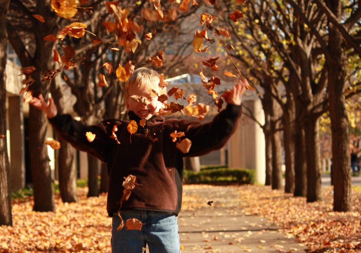 Картинки на аву осень