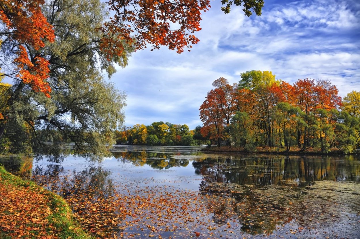 Осень листопад