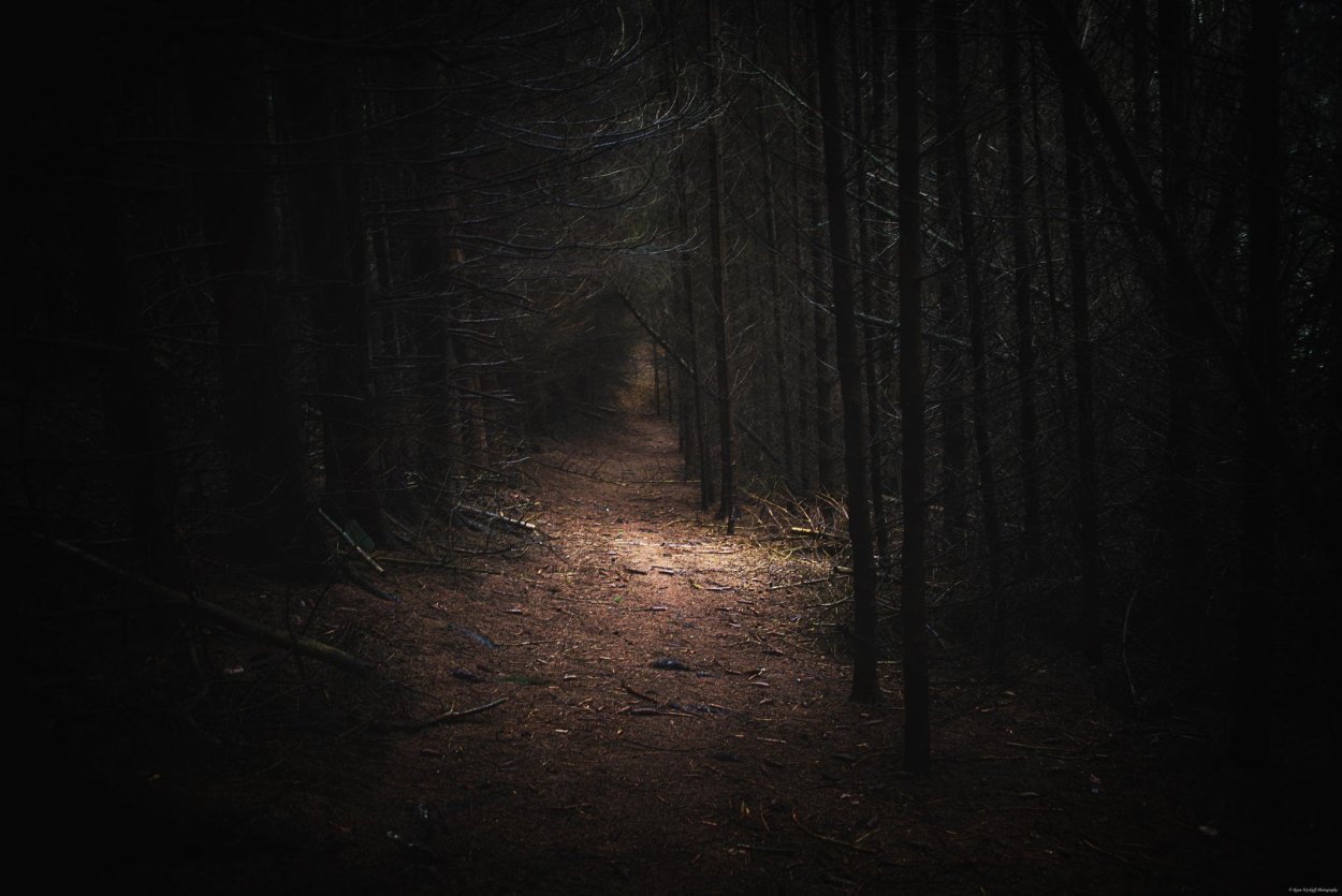 Страшный лес