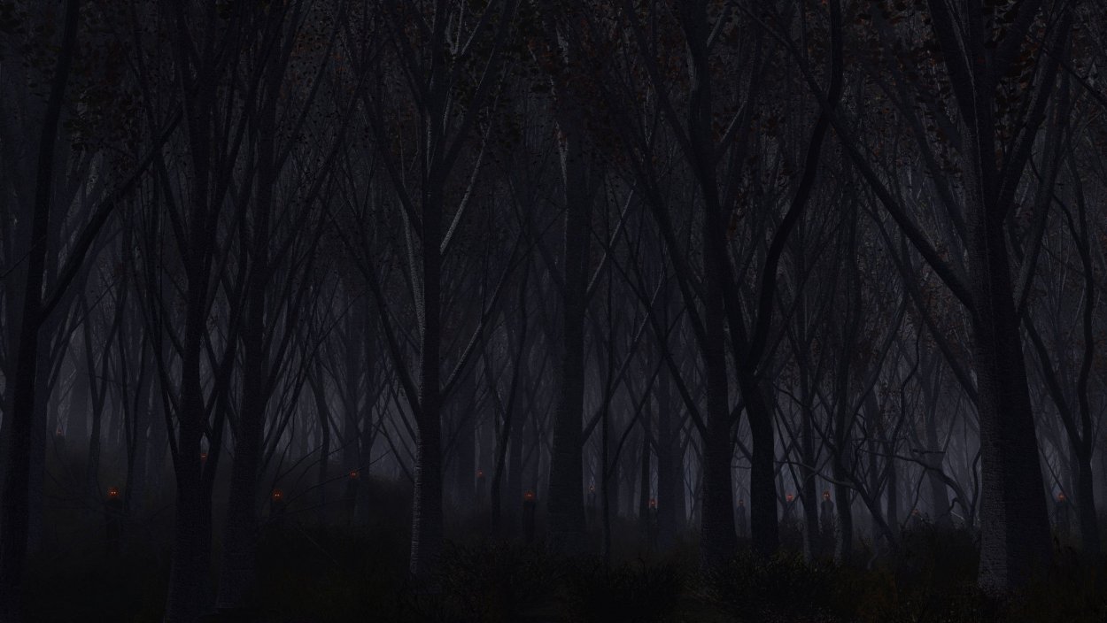 Страшный лес ночью