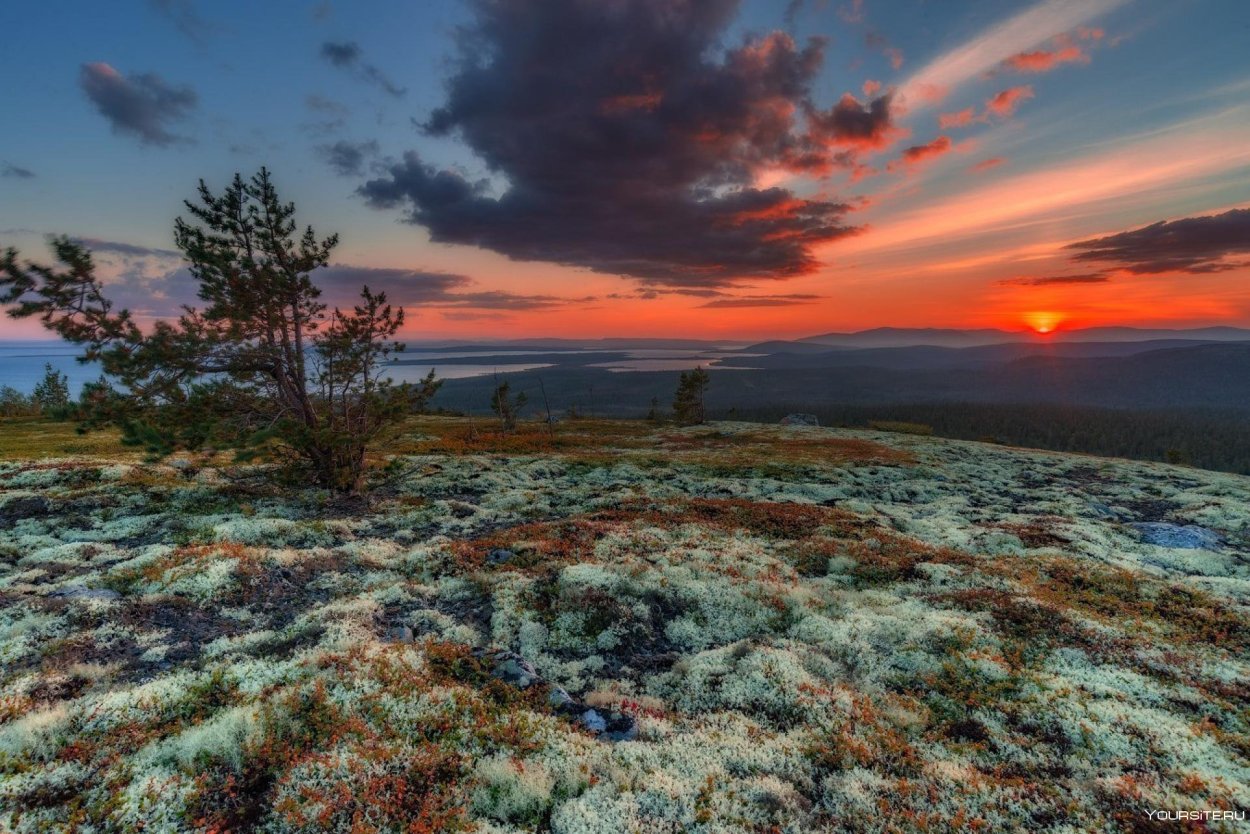 Заполярье Кольский полуостров