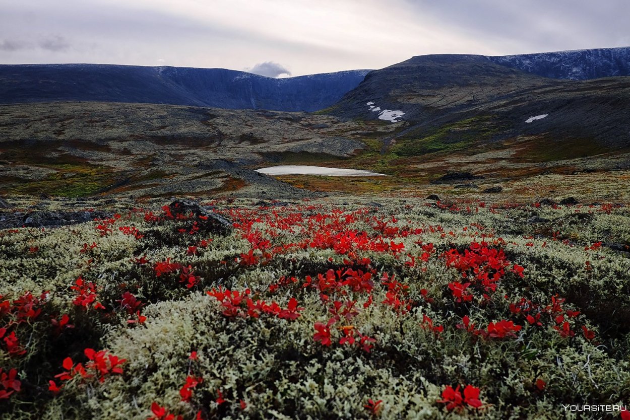 Кольский полуостров Ловозерские тундры
