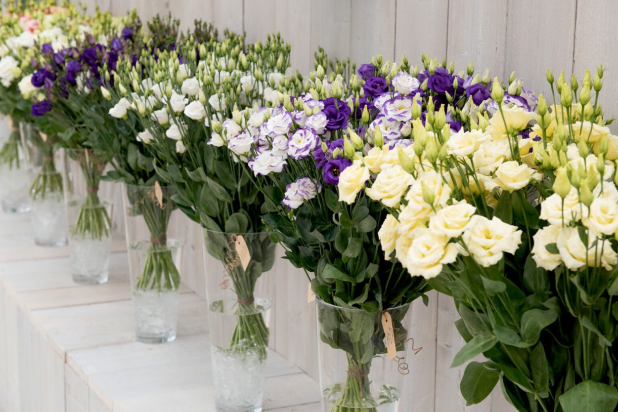 Лизиантус микс Lisianthus Mix