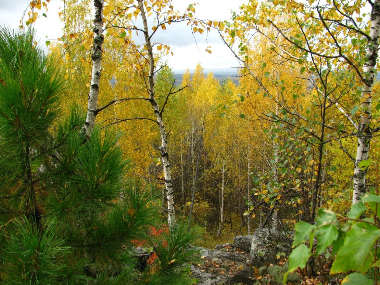 Висимский биосферный заповедник