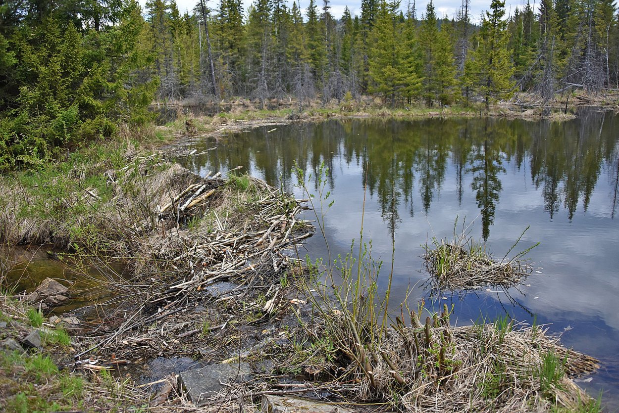 Уральский путь