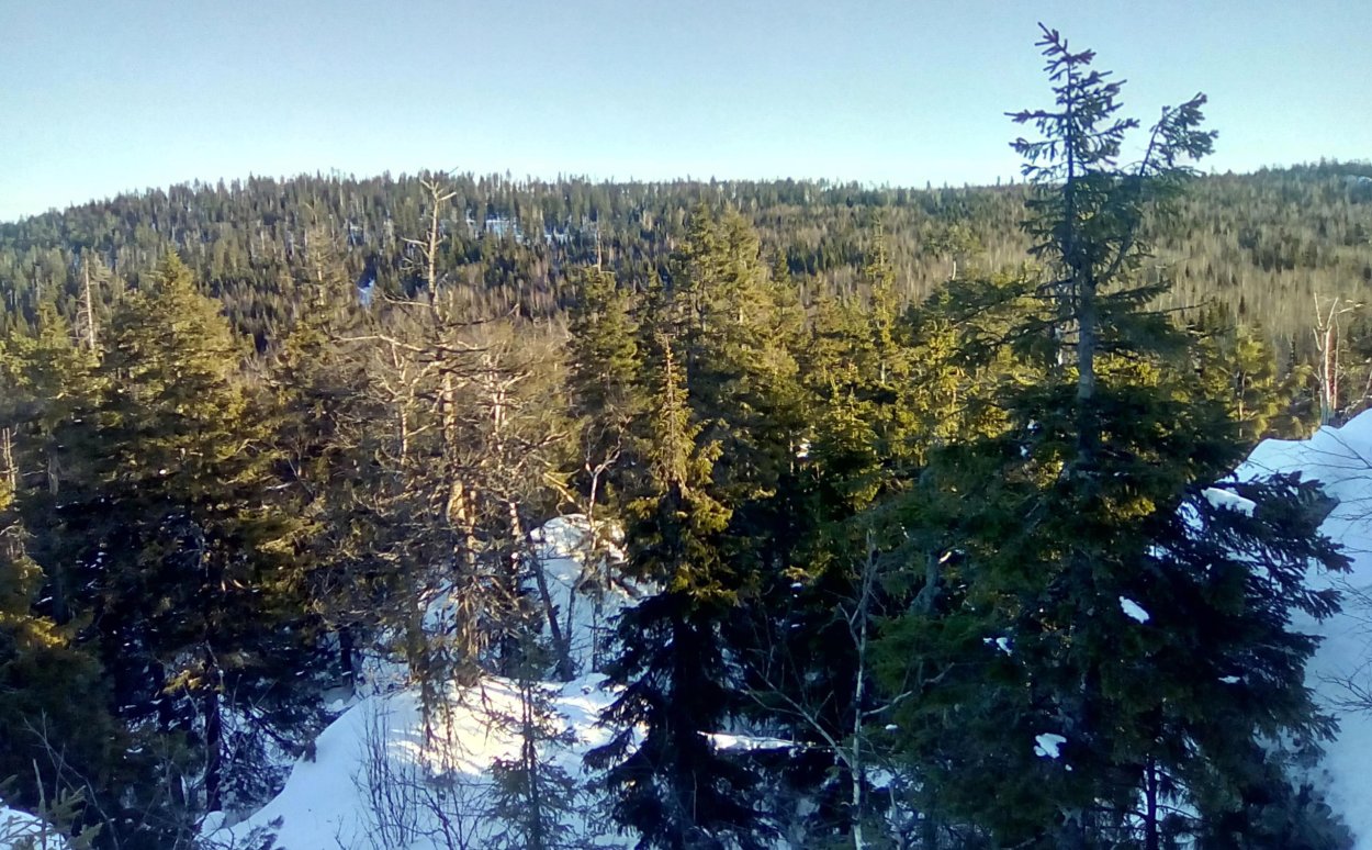 Висимский заповедник Кировград