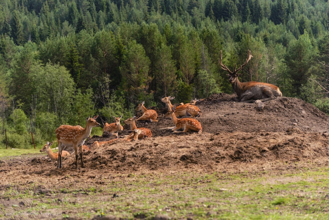 Висимский заповедник Урала