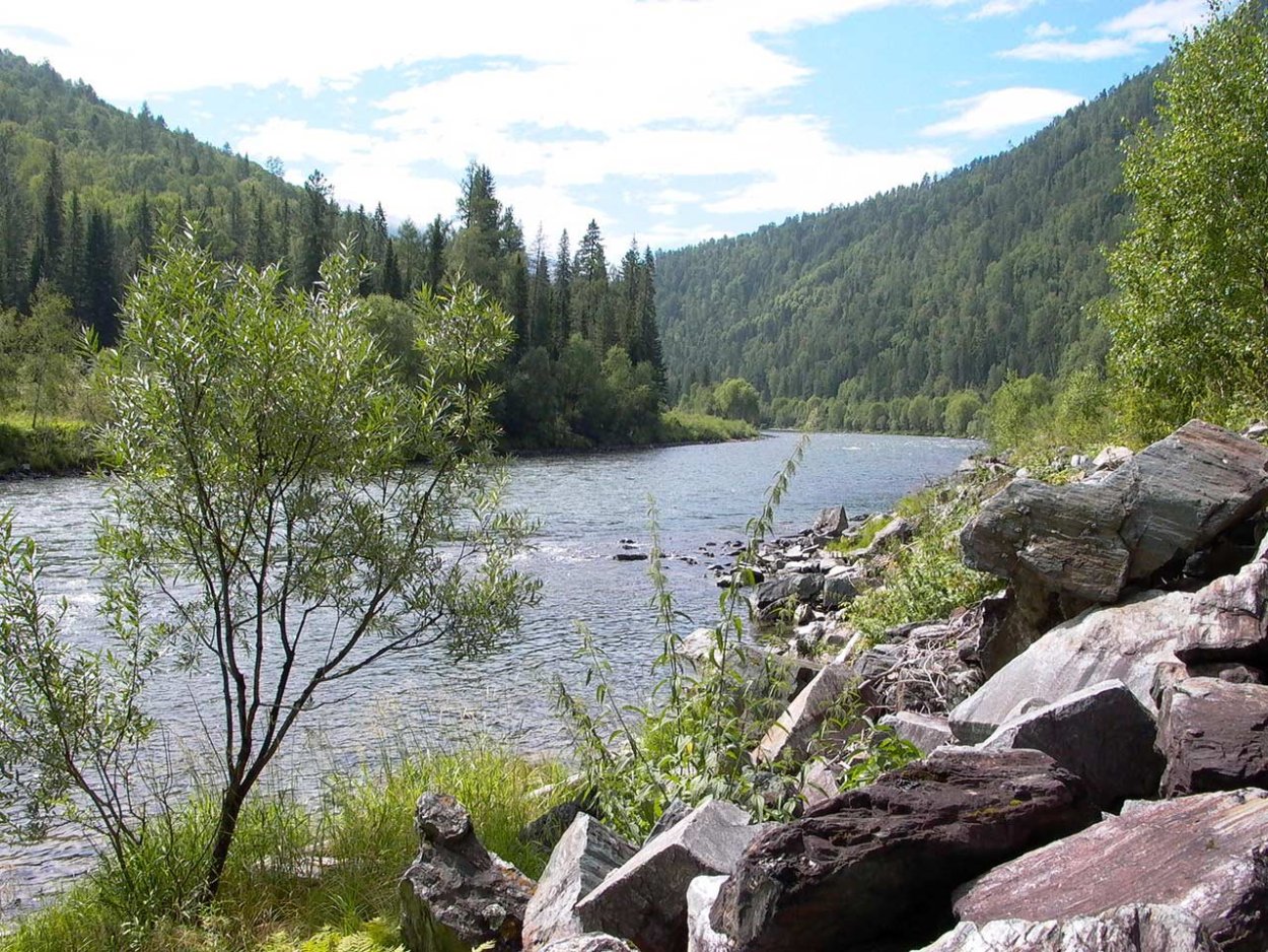 Висимский заповедник Урала