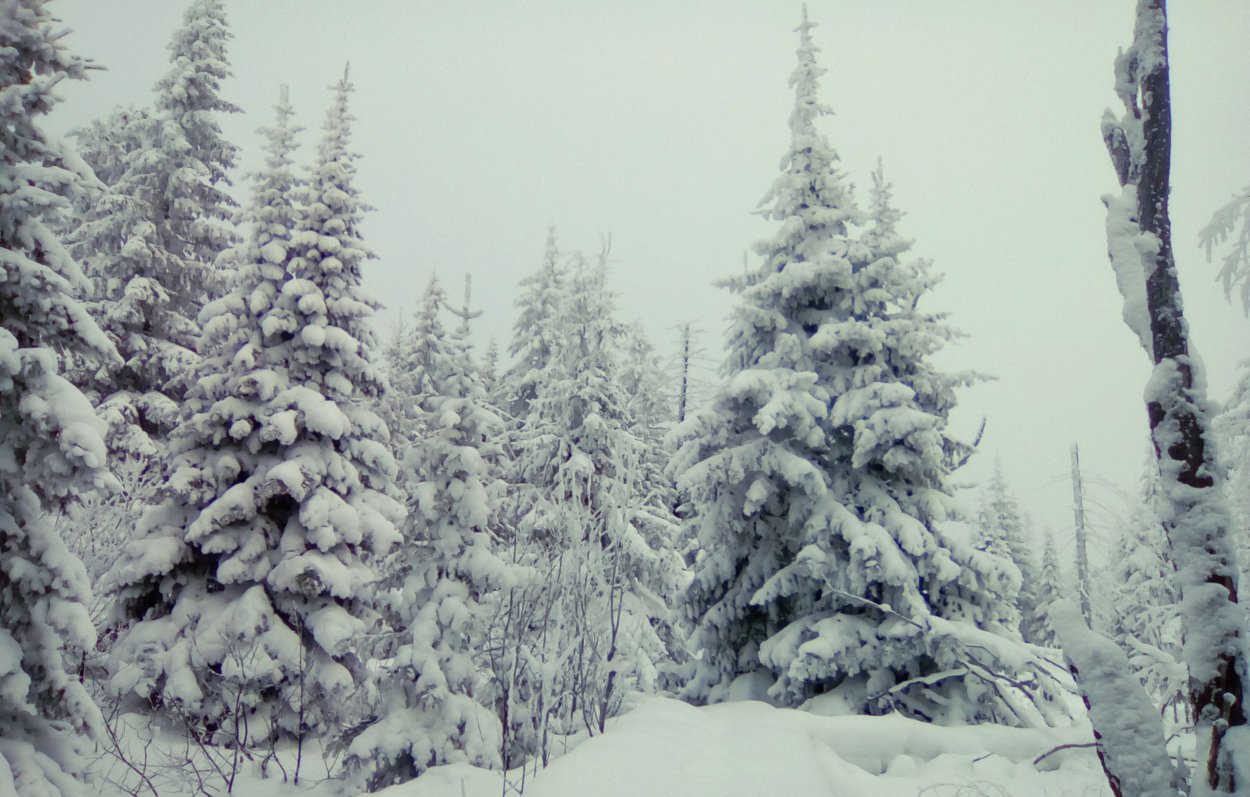 Висимский заповедник зима