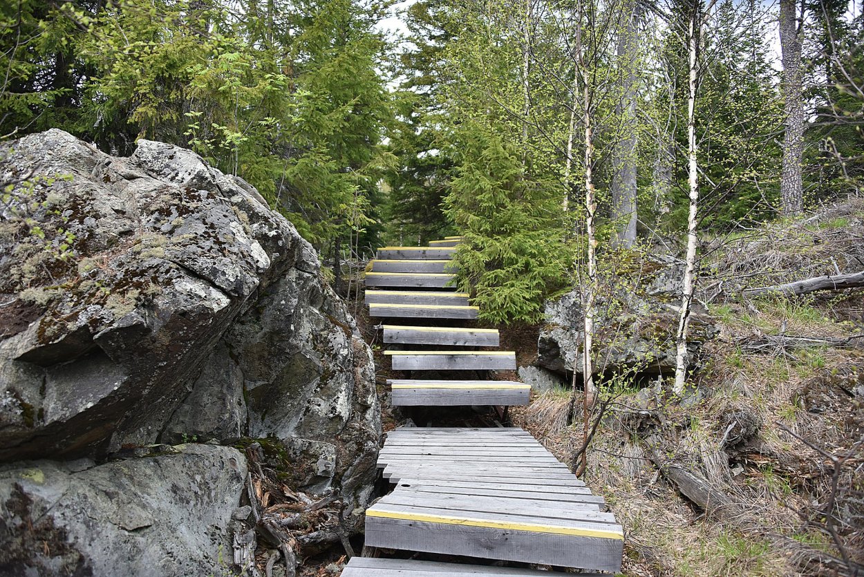 Экотропа Веселые горы