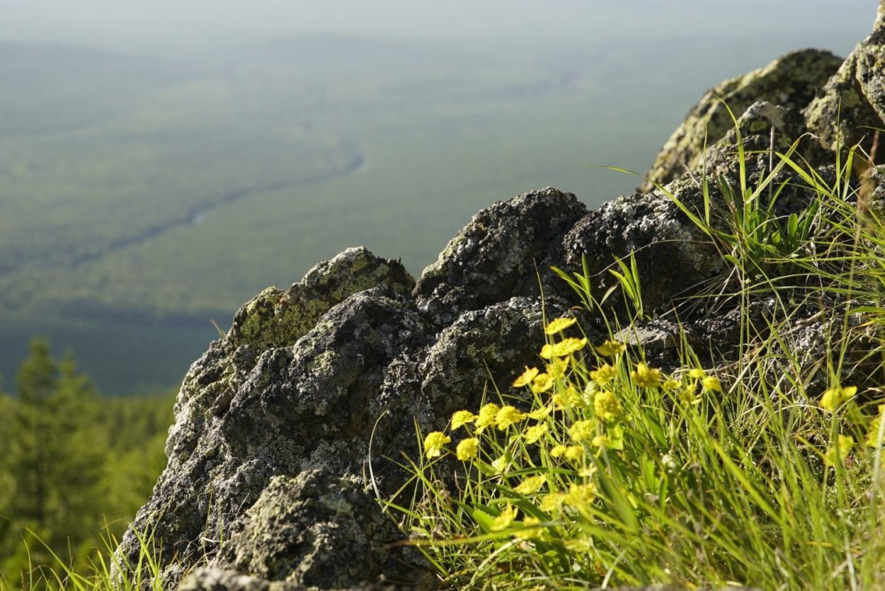 Денежкин камень заповедник