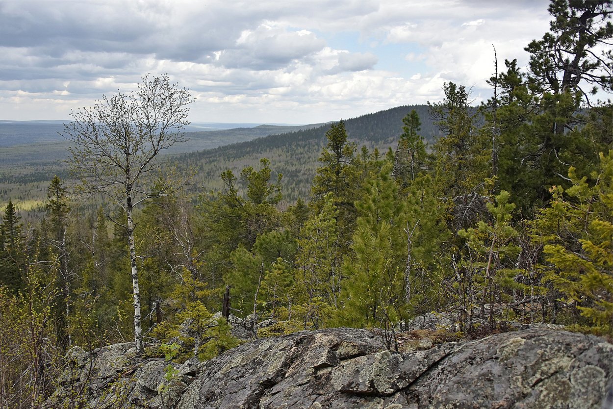 Висимский заповедник а5