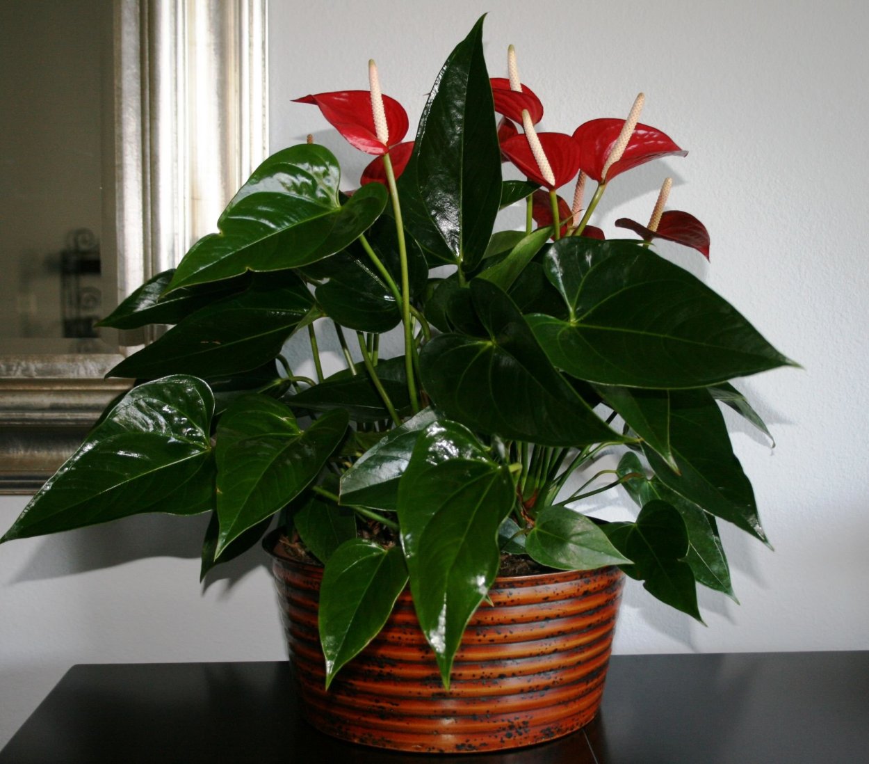 Женское и мужское счастье цветок вместе