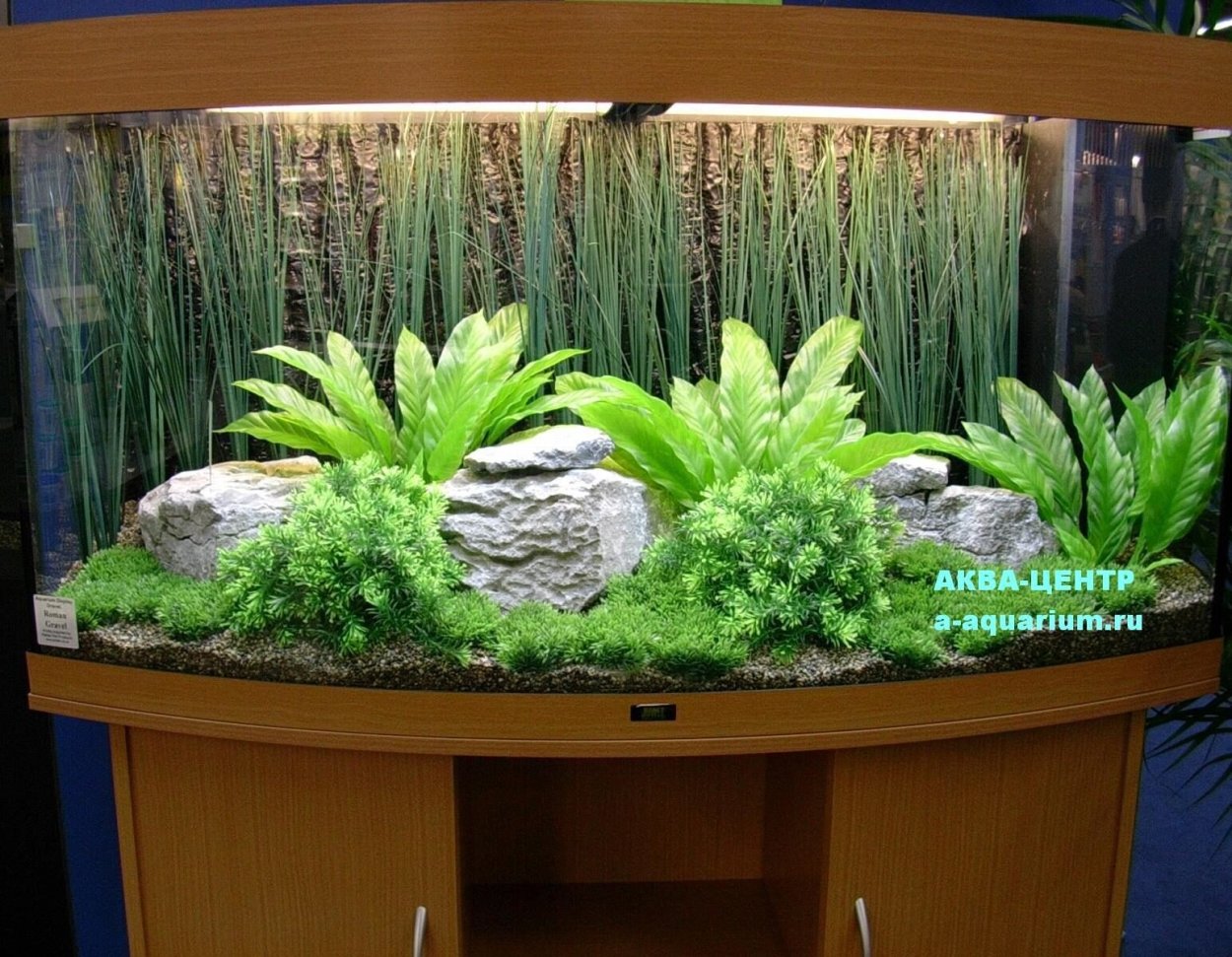 Красивые аквариумы с растениями