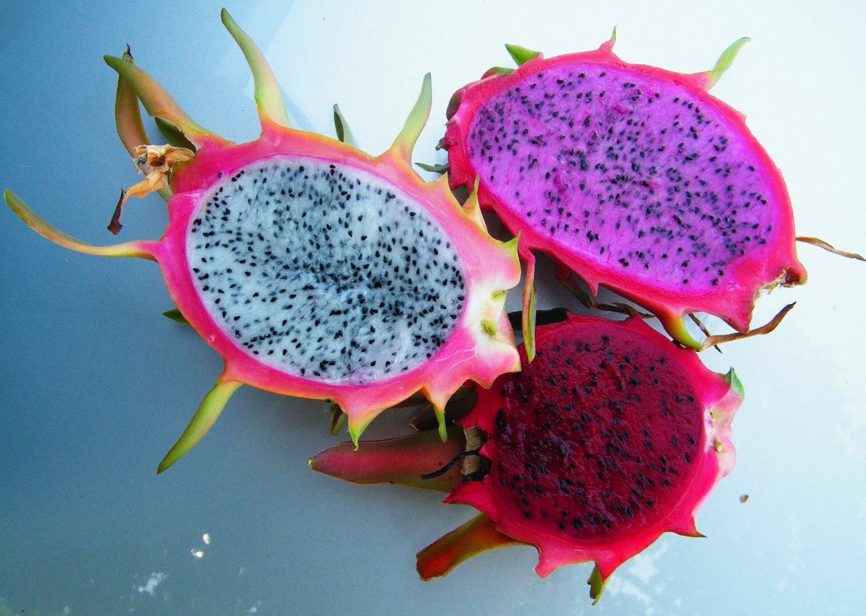 Питайя питайя или питахайя