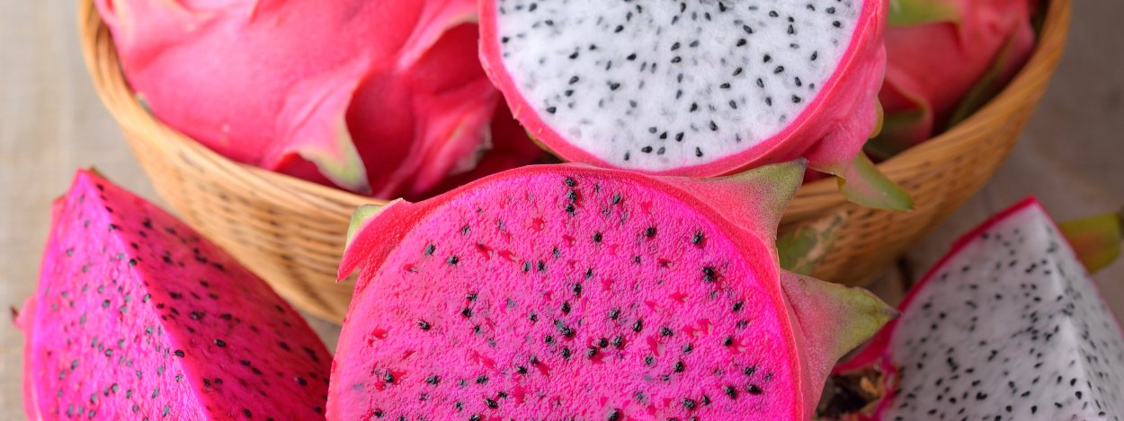 Dragon Fruit на ярком фоне