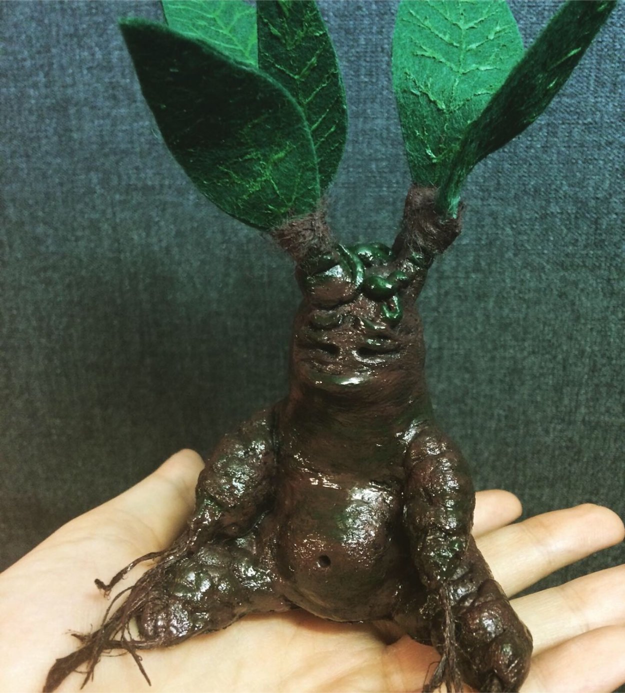 Корень Мандрагоры