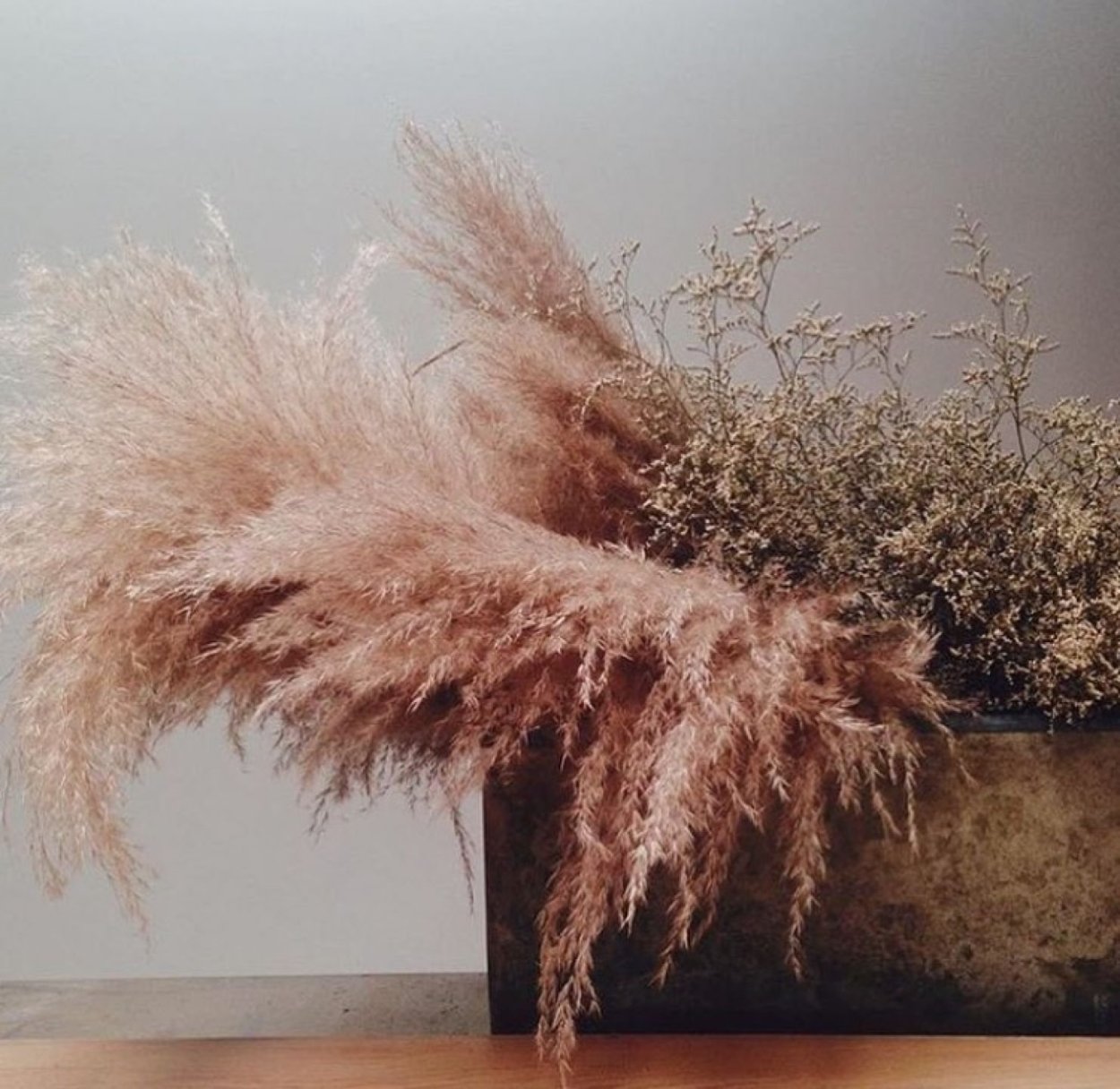 Пампасная трава для декора