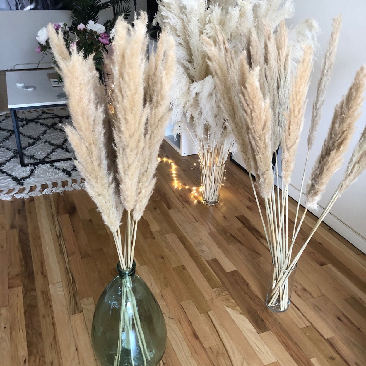 Пампасная трава для декора