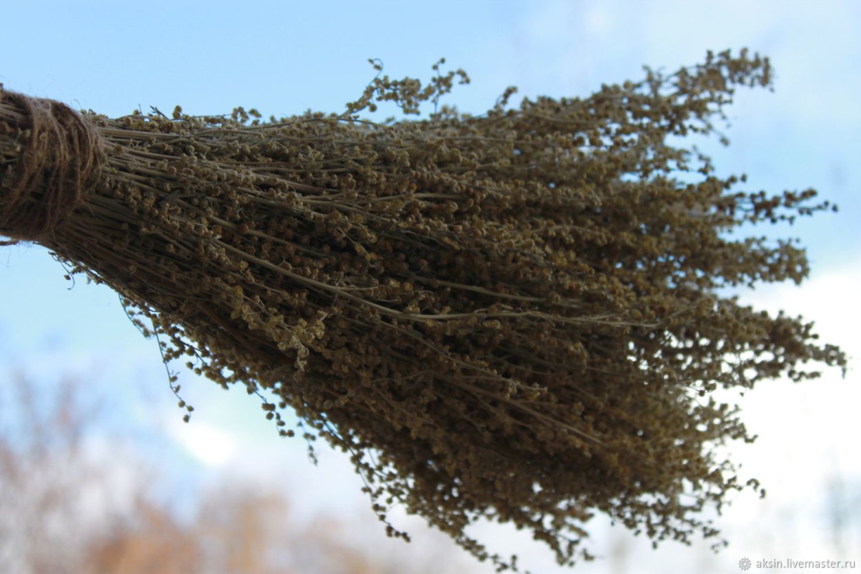 Метла из веток