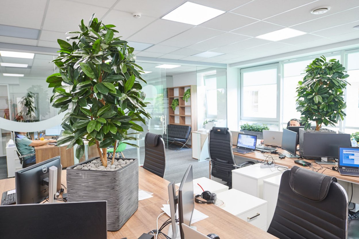 Озеленение офиса