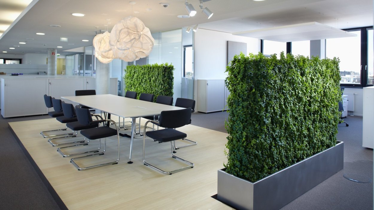 Растения для офиса