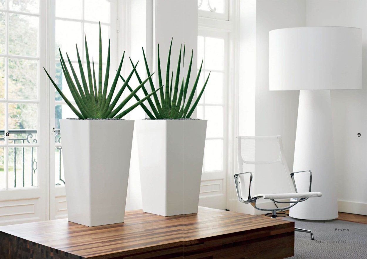 Современные горшки для цветов